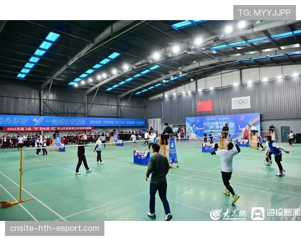 羽毛球运动为何适合全民参与（204 ）