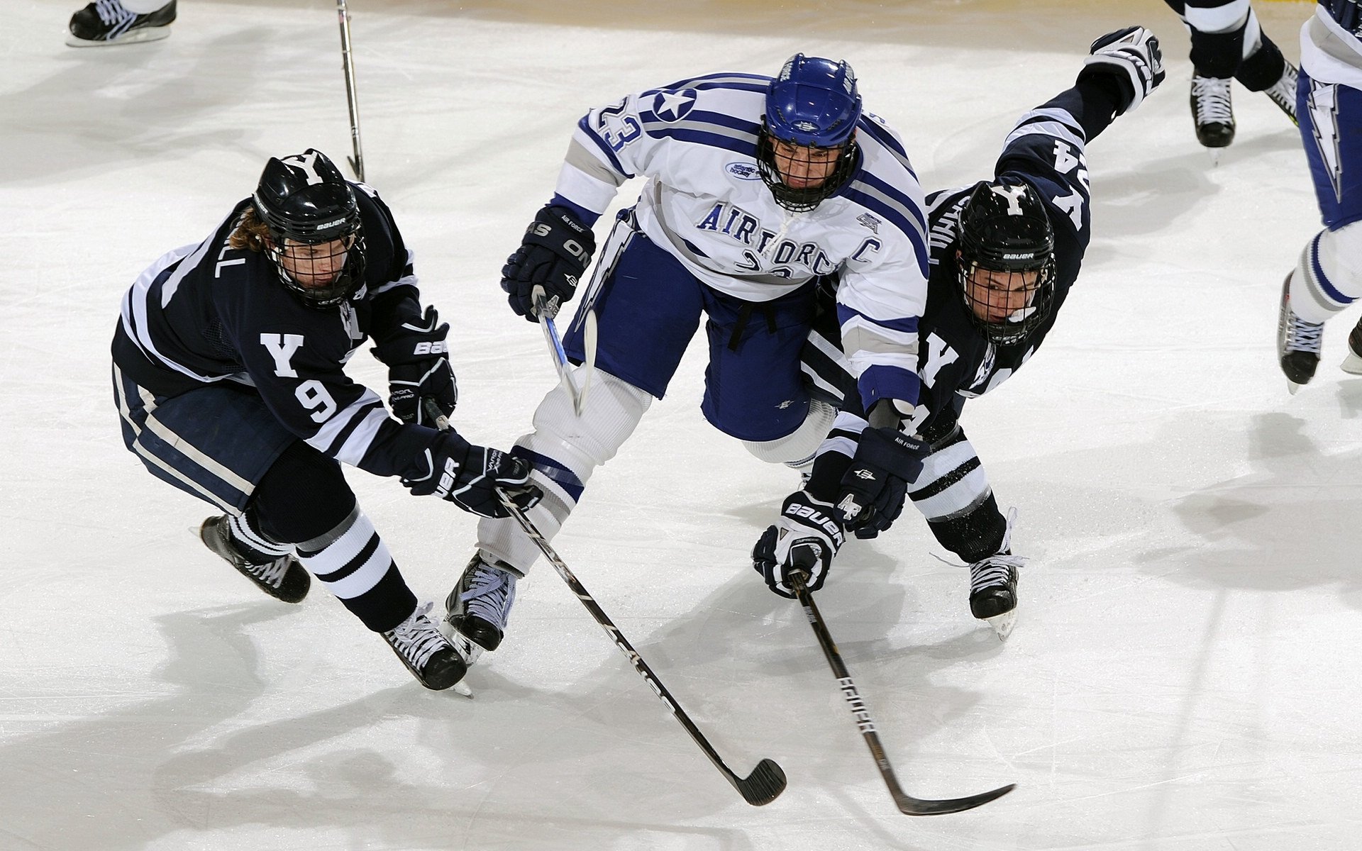 体育焦点话题全网讨论,焦点访谈体育